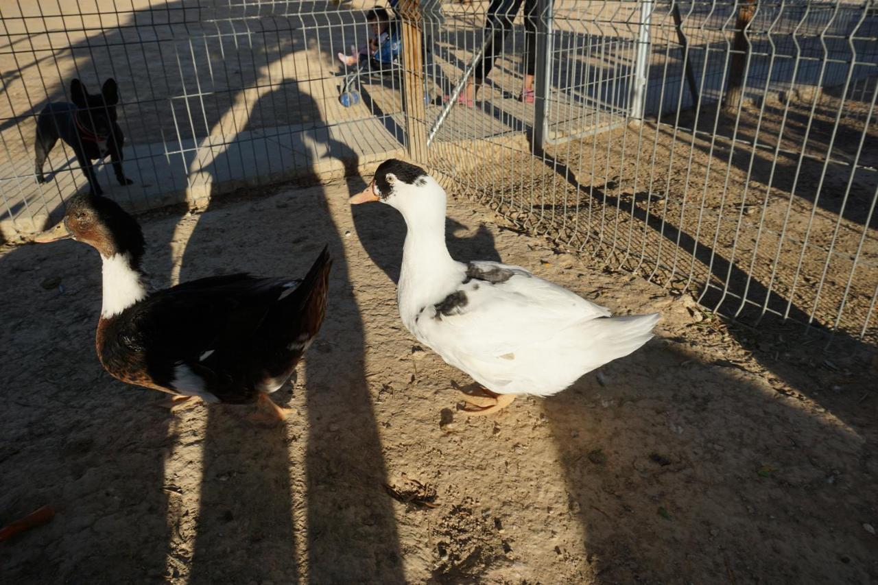 Cuchi Farm Βίλα Chinchón Εξωτερικό φωτογραφία