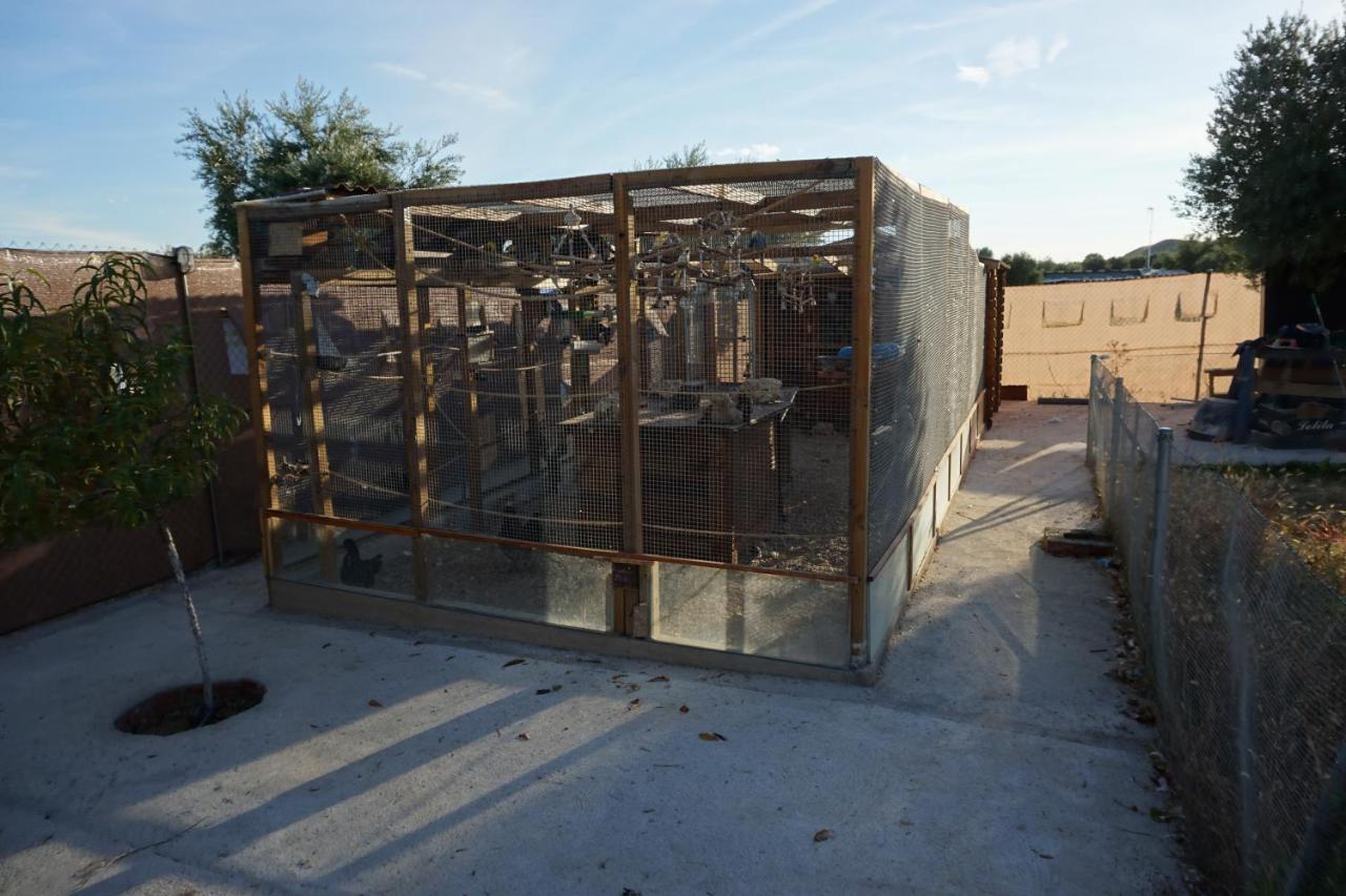 Cuchi Farm Βίλα Chinchón Εξωτερικό φωτογραφία